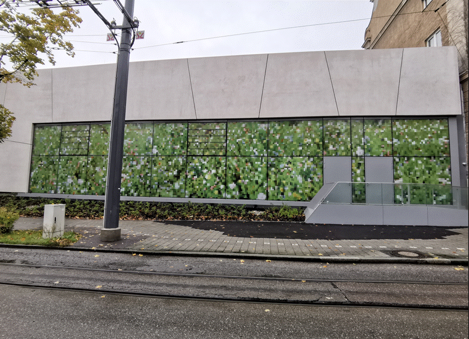 Ein Bild, das drauen, Himmel, Pflanze, Baum enthlt.

Automatisch generierte Beschreibung